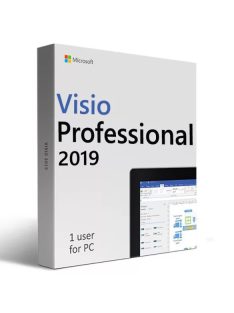 Microsoft Visio Professional 2019 ( Dá se přesunout)