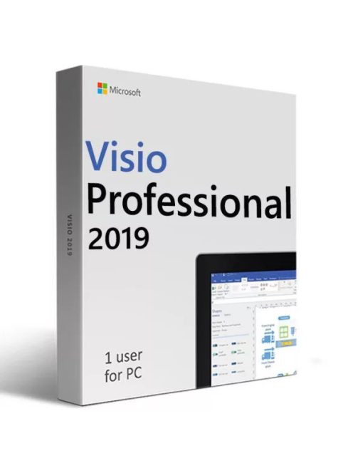 Microsoft Visio Professional 2019 ( Dá se přesunout)
